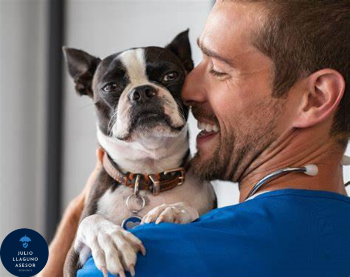 seguro de mascotas, hombre con playera azul, sostiene en sus brazos, a su perro.