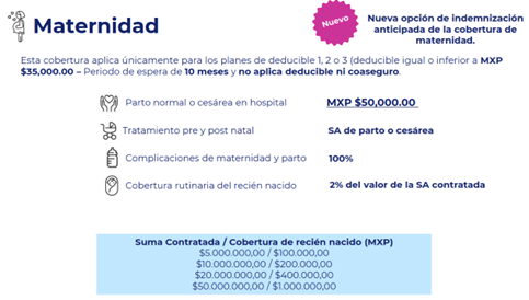 CUADRO DESCRIPTIVO DEL SEGURO EN LA COBERTURA DE MATERNIDAD